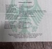 IMG_8503.jpeg