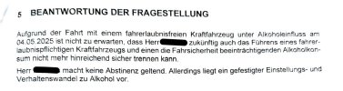 Gutachten-geschwärzt - Kopie-17.jpg
