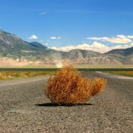 Tumbleweed