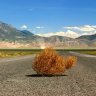 Tumbleweed