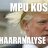 Masi